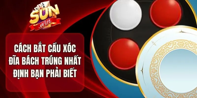 Cách Bắt Cầu Xóc Đĩa Bách Trúng Nhất Định Bạn Phải Biết