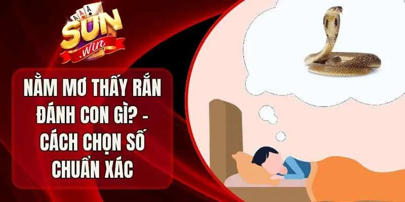 Nằm Mơ Thấy Rắn Đánh Con Gì? – Cách Chọn Số Chuẩn Xác