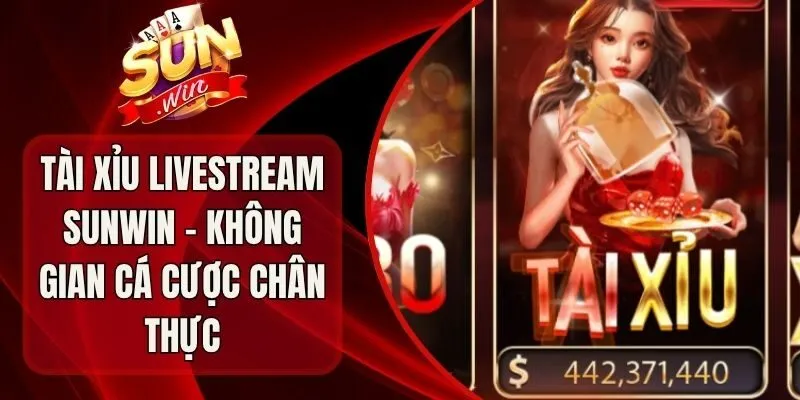 Tài Xỉu Livestream Sunwin - Không Gian Cá Cược Chân Thực