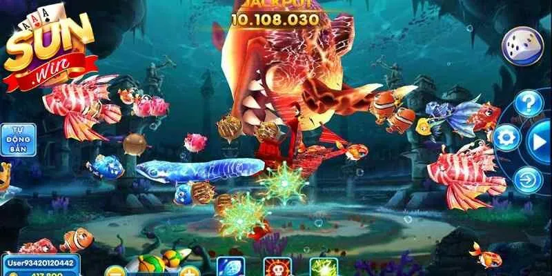 Nội dung lưu ý trong quá trình săn xu từ đại dương